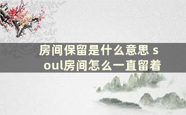 房间保留是什么意思 soul房间怎么一直留着